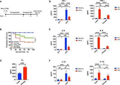 Estrogen receptor subtype mediated anti-inflammation and vasorelaxation via genomic and nongenomic actions in septic mice